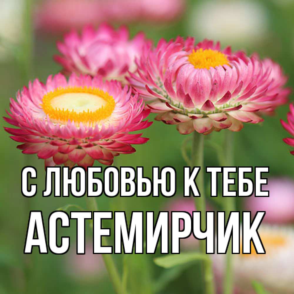 Открытка  с именем. Астемирчик, С любовью к тебе  