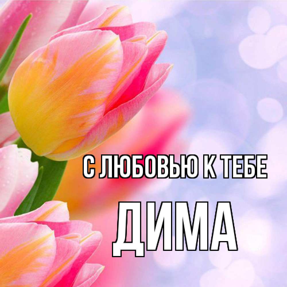 Открытка  с именем. Дима, С любовью к тебе  