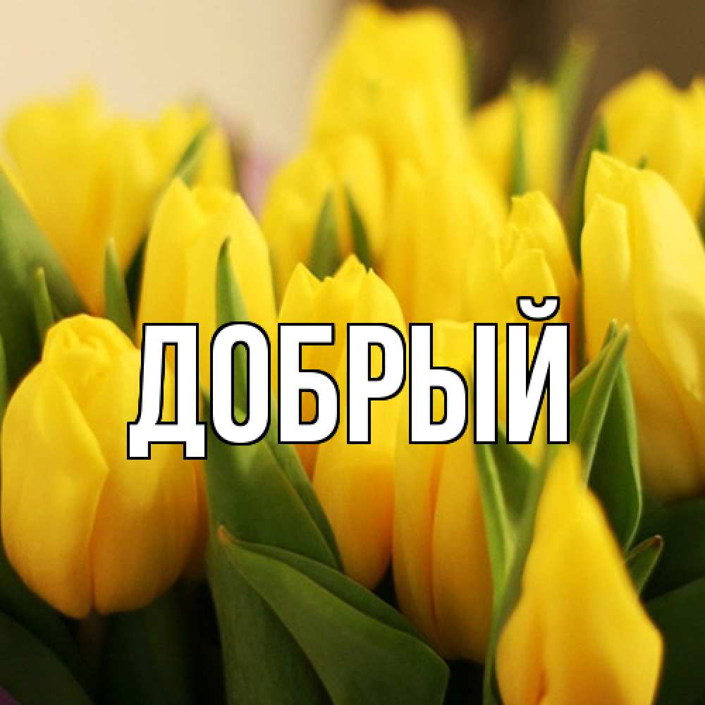 Открытка  с именем. Добрый, Главная  