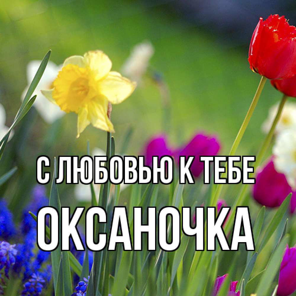 Открытка  с именем. ОКСАНОЧКА, С любовью к тебе  