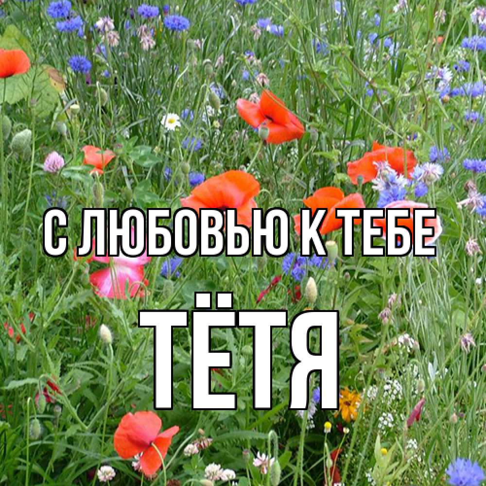 Открытка  с именем. Тётя, С любовью к тебе  