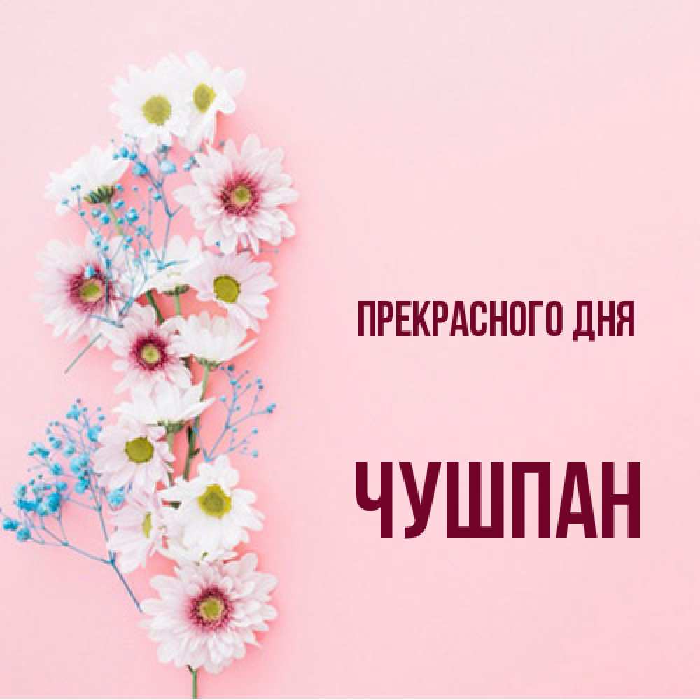 Открытка  с именем. Чушпан, Прекрасного дня  