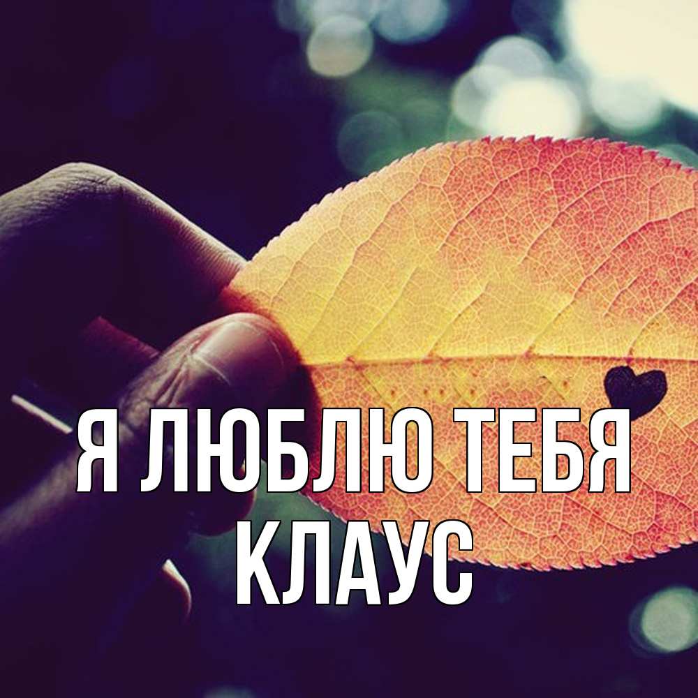 Открытка  с именем. Клаус, Я люблю тебя  