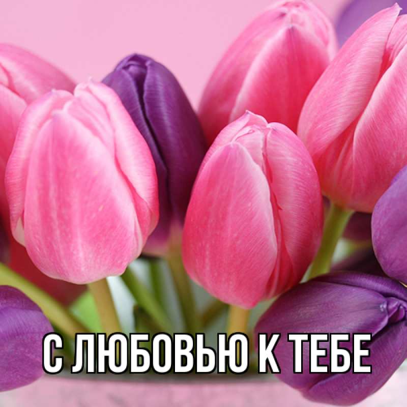 Картинка С любовью к тебе, 