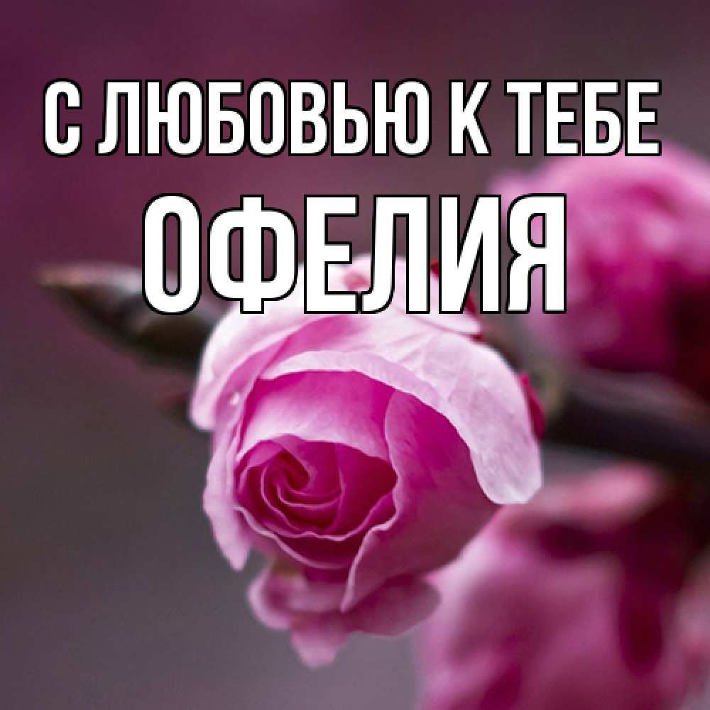 Открытка  с именем. Офелия, С любовью к тебе  