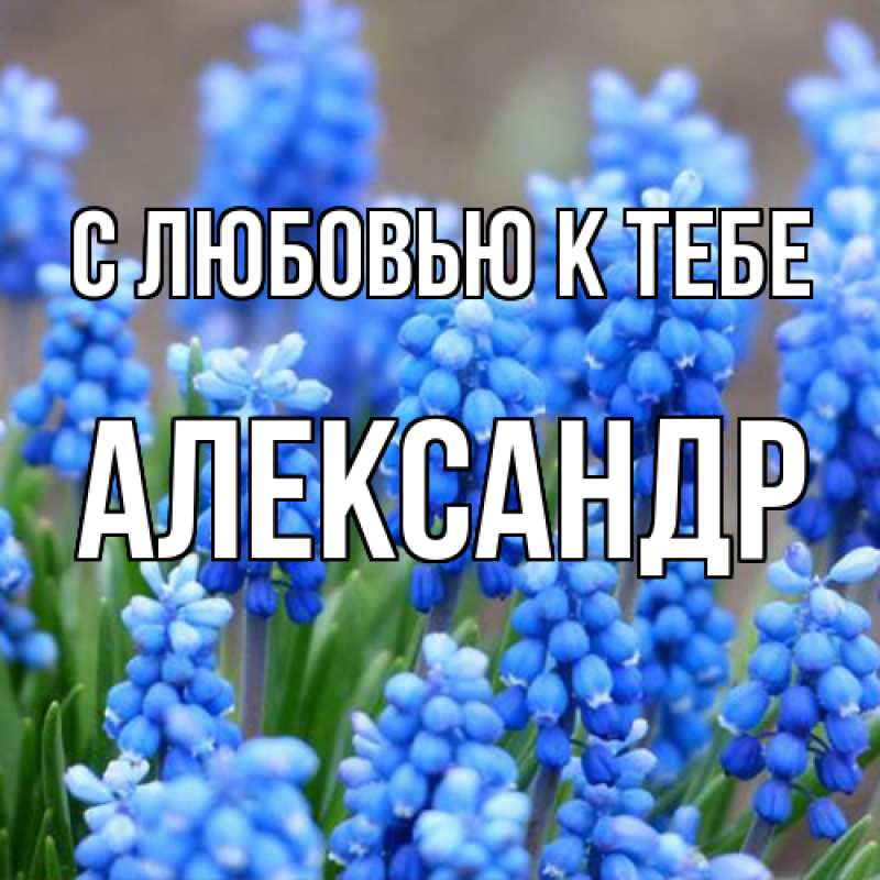 Картинка С любовью к тебе, Александр