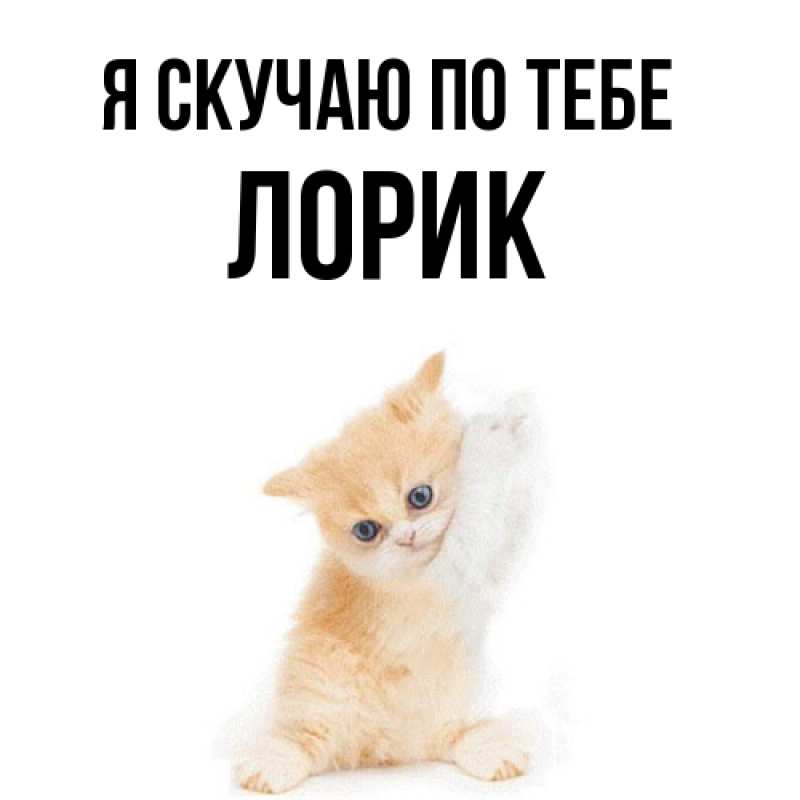 Картинка Я скучаю по тебе, Лорик