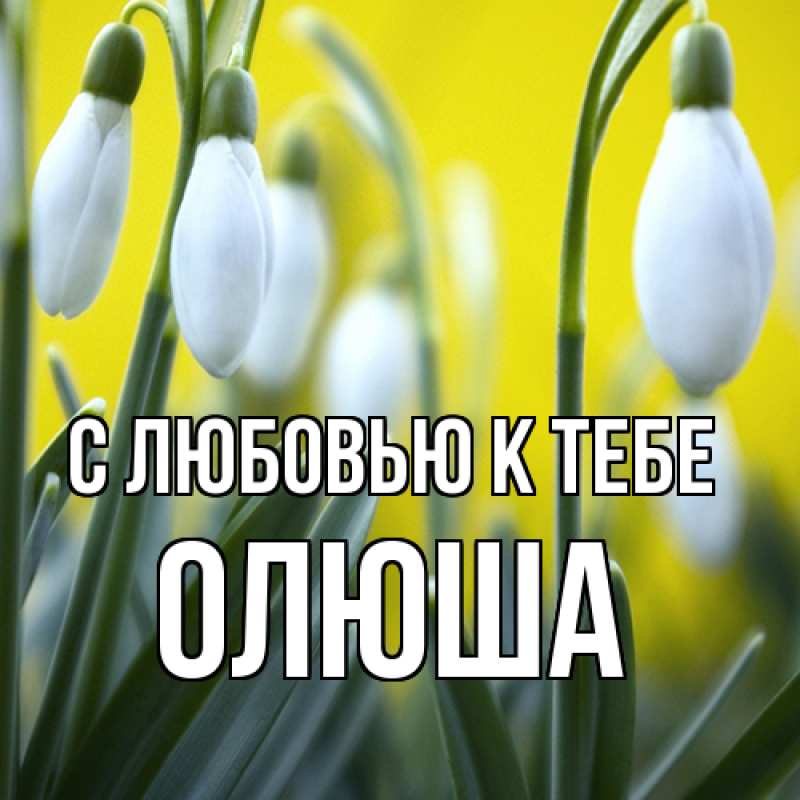 Картинка С любовью к тебе, Олюша