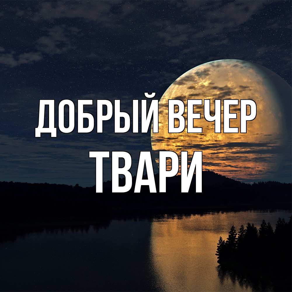 Открытка  с именем. твари, Добрый вечер  