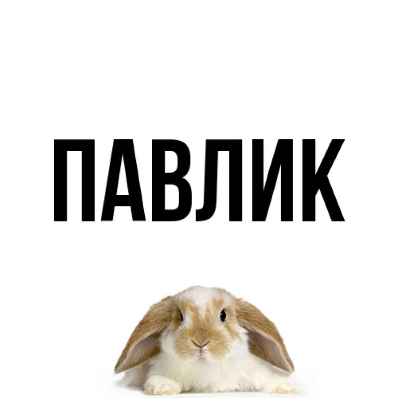 Картинка  с именем , Павлик