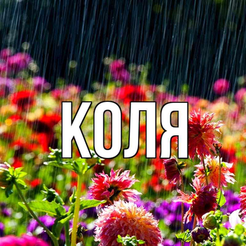 Картинка  с именем , коля