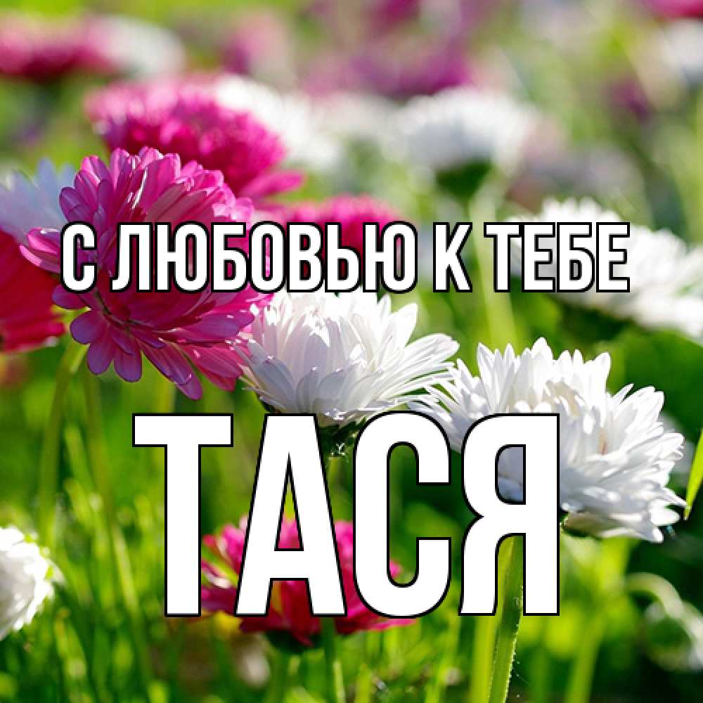 Открытка  с именем. Тася, С любовью к тебе  