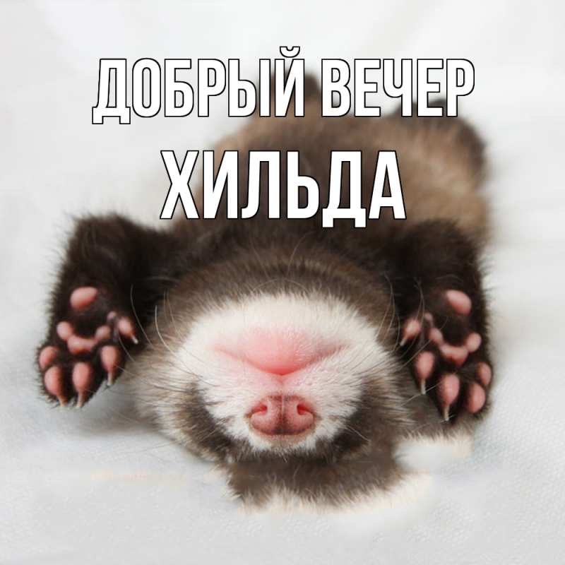Картинка Добрый вечер, Хильда