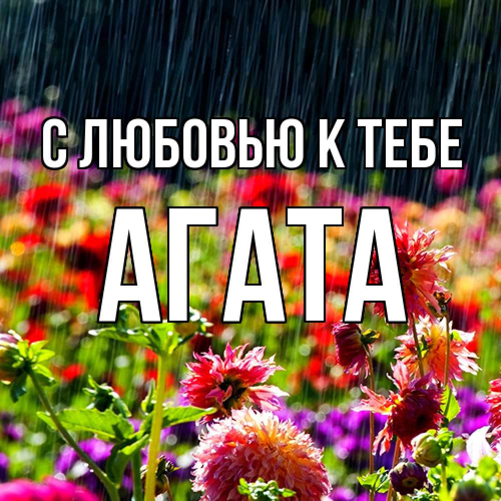 Открытка  с именем. Агата, С любовью к тебе  