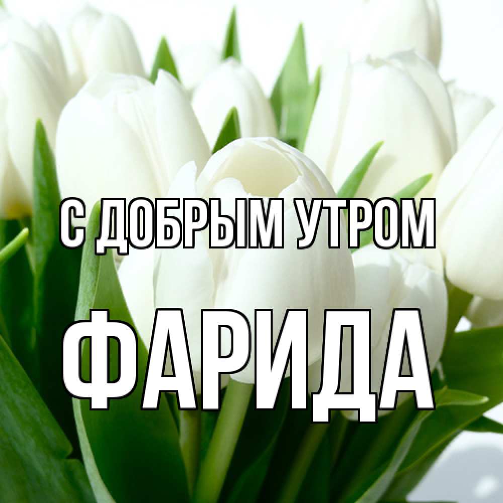 Открытка  с именем. Фарида, С добрым утром  