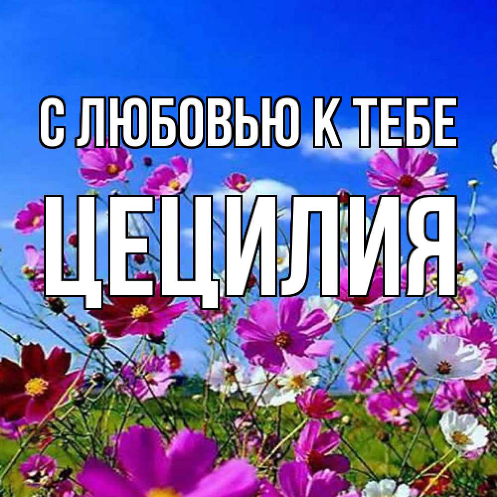 Открытка  с именем. Цецилия, С любовью к тебе  