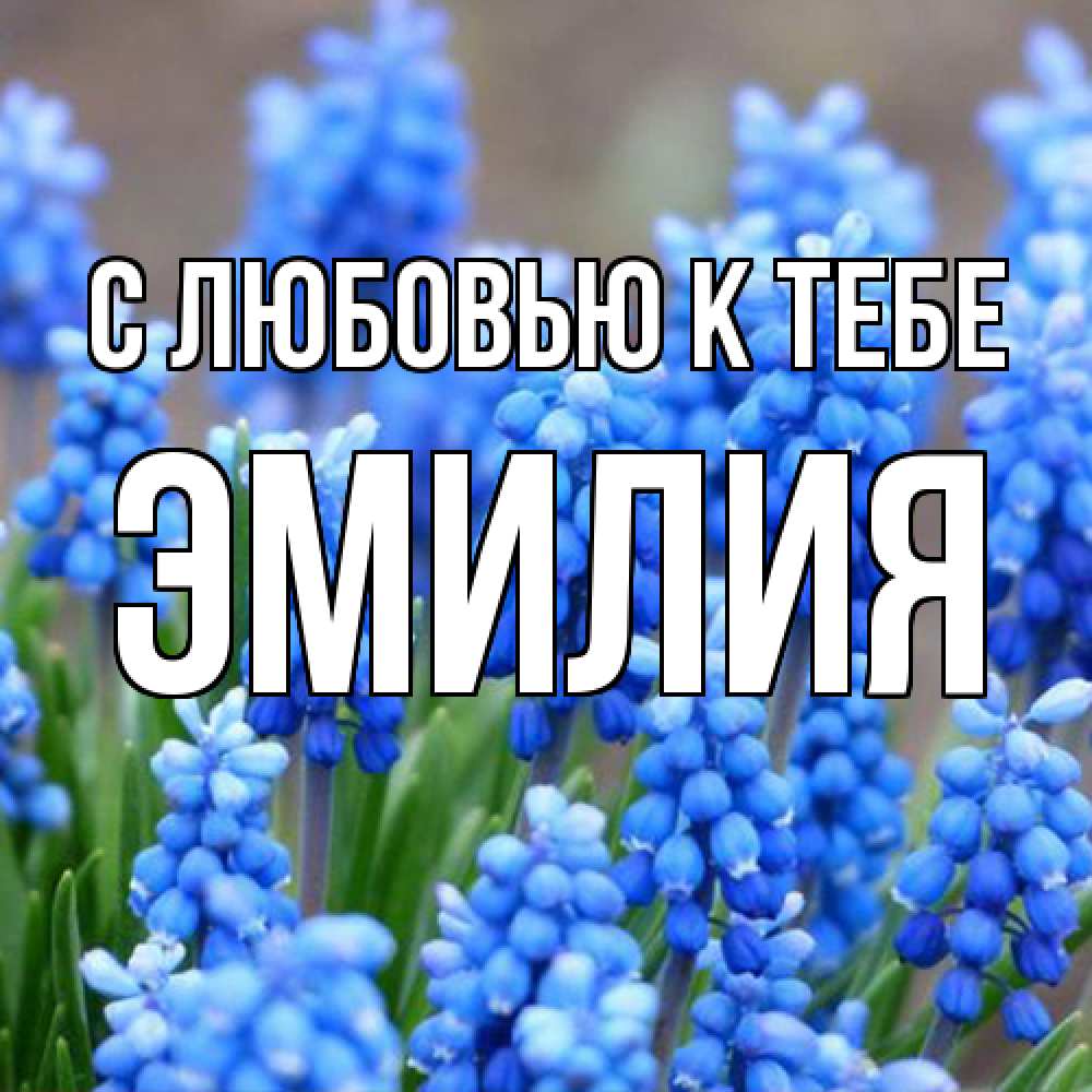 Открытка  с именем. Эмилия, С любовью к тебе  