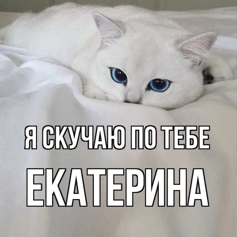 Картинка Я скучаю по тебе, Екатерина