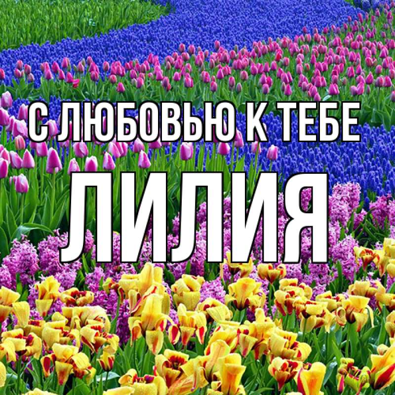 Картинка С любовью к тебе, ЛИлия
