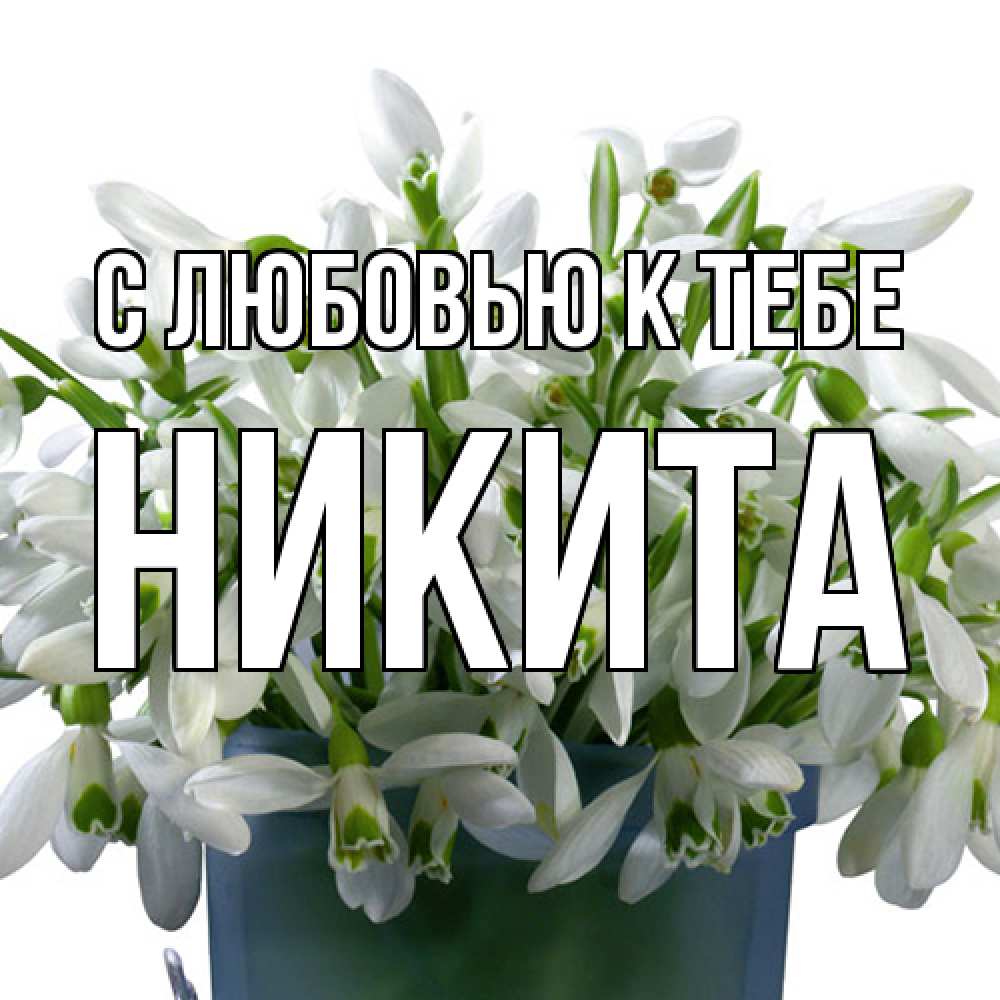 Открытка  с именем. Никита, С любовью к тебе  