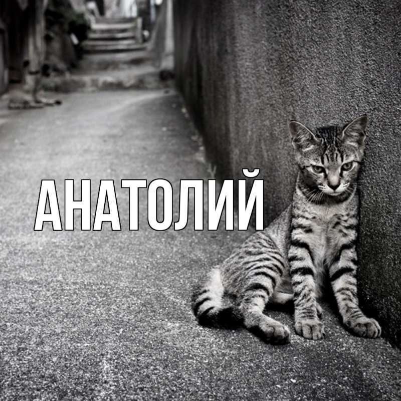 Картинка  с именем , Анатолий