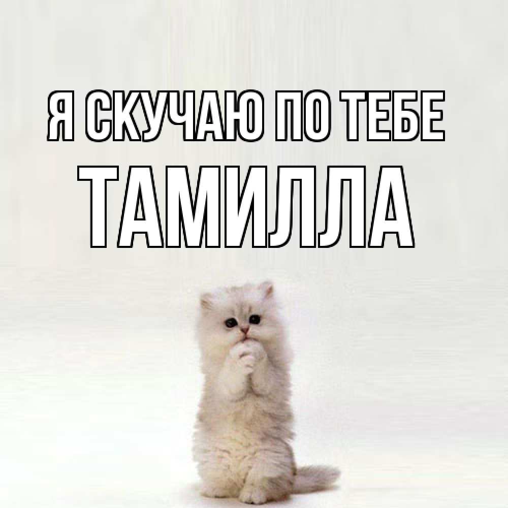 Открытка  с именем. Тамилла, Я скучаю по тебе  