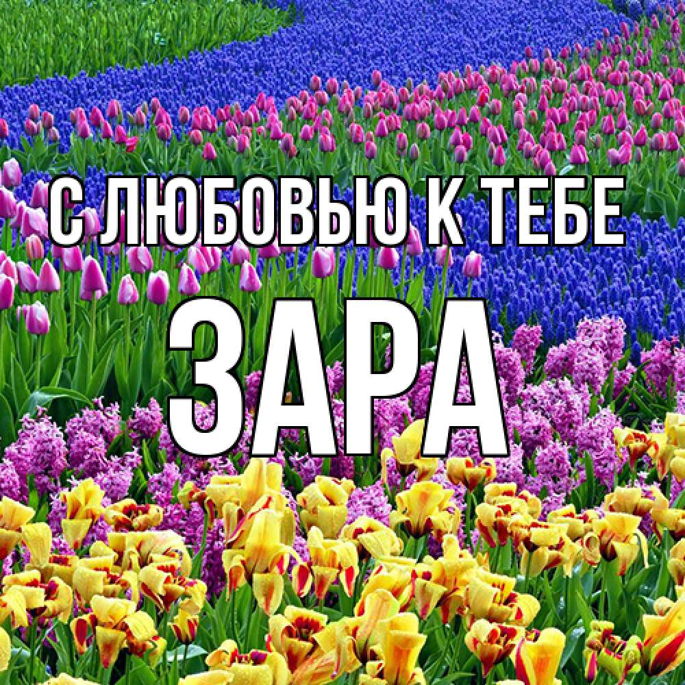 Открытка  с именем. Зара, С любовью к тебе  