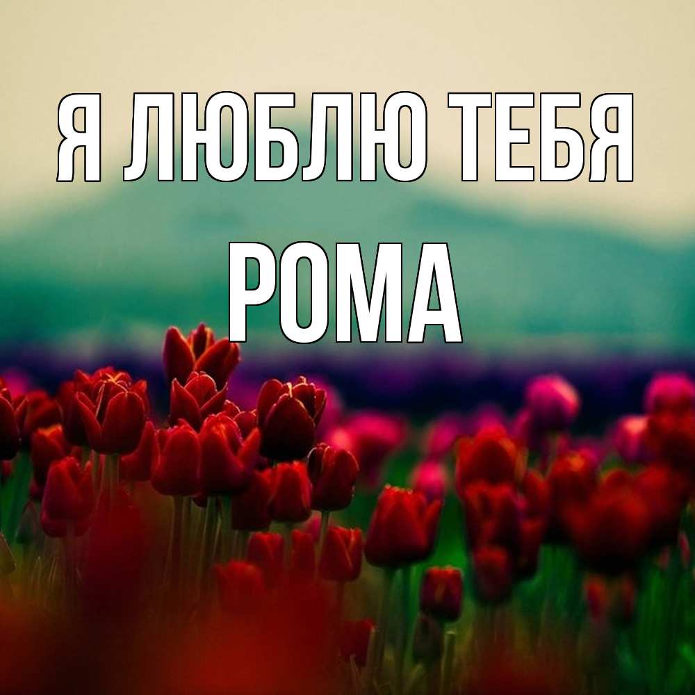 Открытка  с именем. Рома, Я люблю тебя  