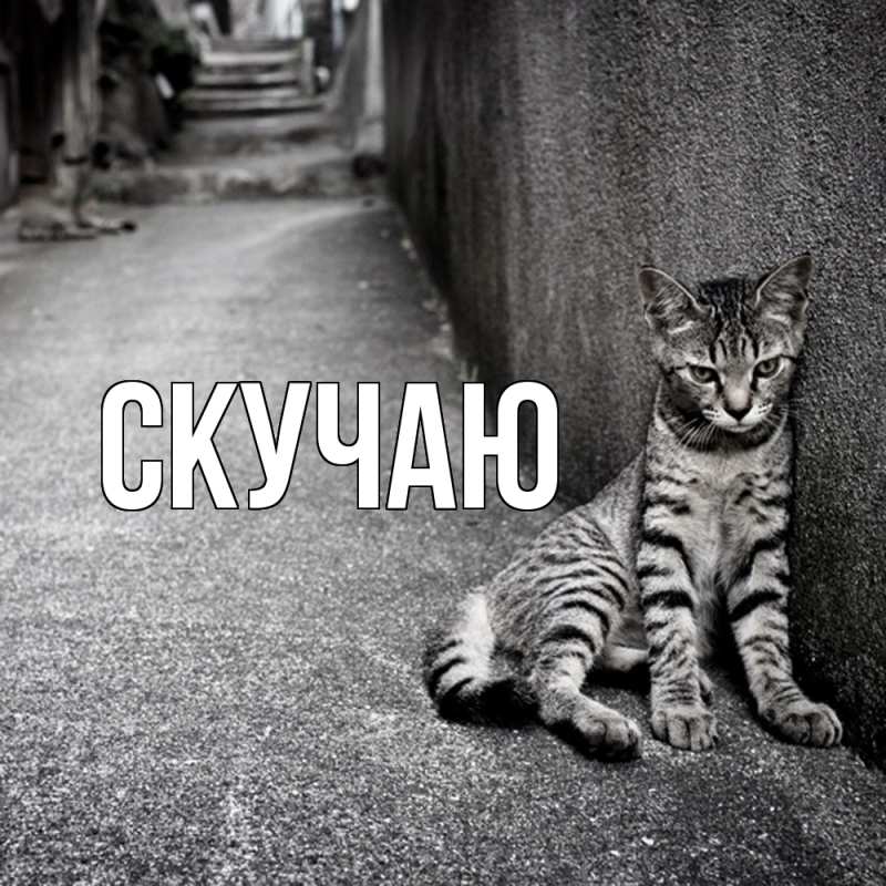 Картинка Скучаю, 