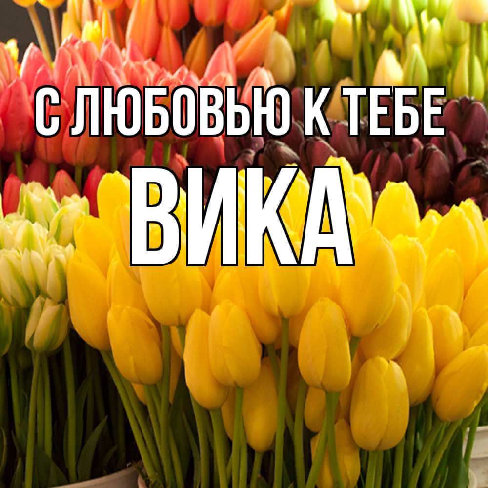 Открытка  с именем. Вика, С любовью к тебе  