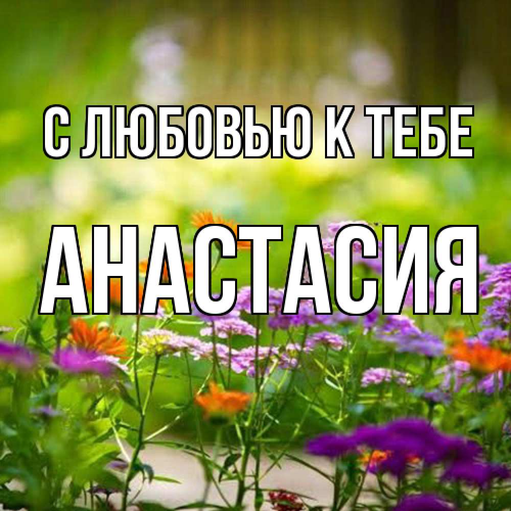 Открытка  с именем. Анастасия, С любовью к тебе  