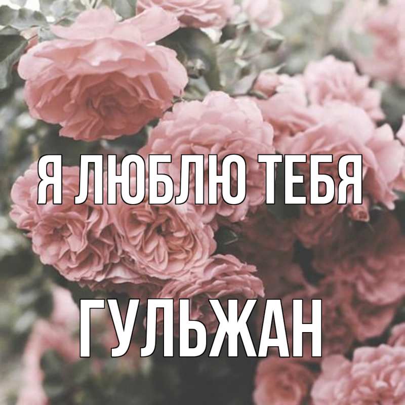 Картинка Я люблю тебя, Гульжан