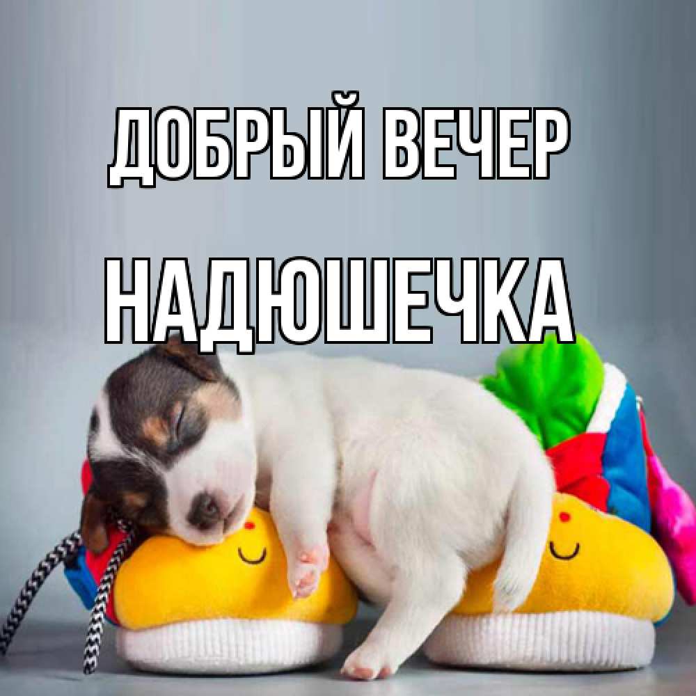 Открытка  с именем. Надюшечка, Добрый вечер  