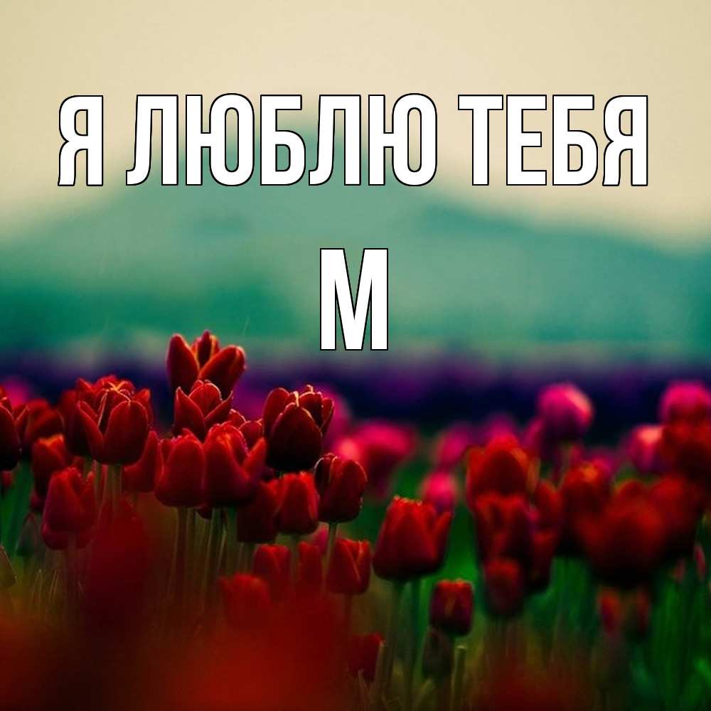 Открытка  с именем. М, Я люблю тебя  