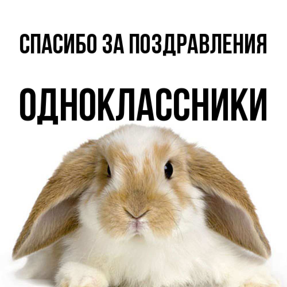 Открытка  с именем. Одноклассники, Спасибо за поздравления  