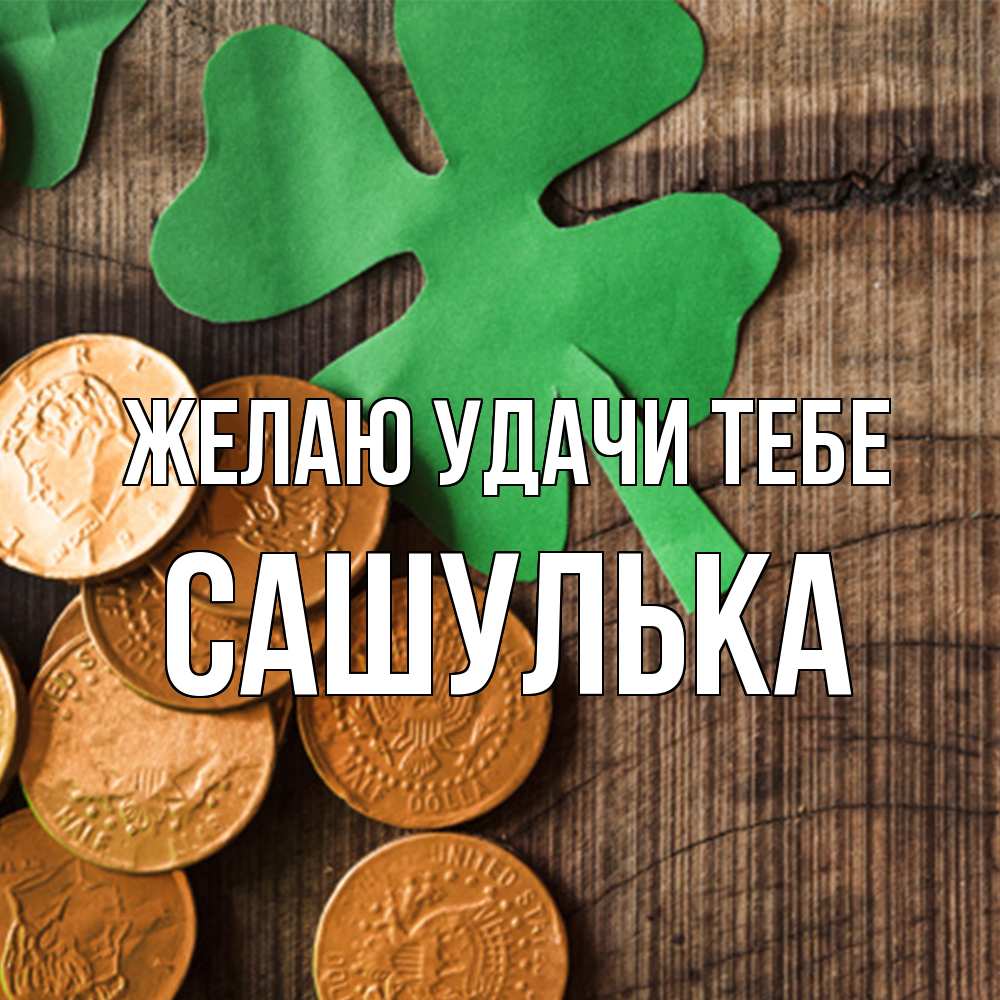 Открытка  с именем. Сашулька, Желаю удачи тебе  