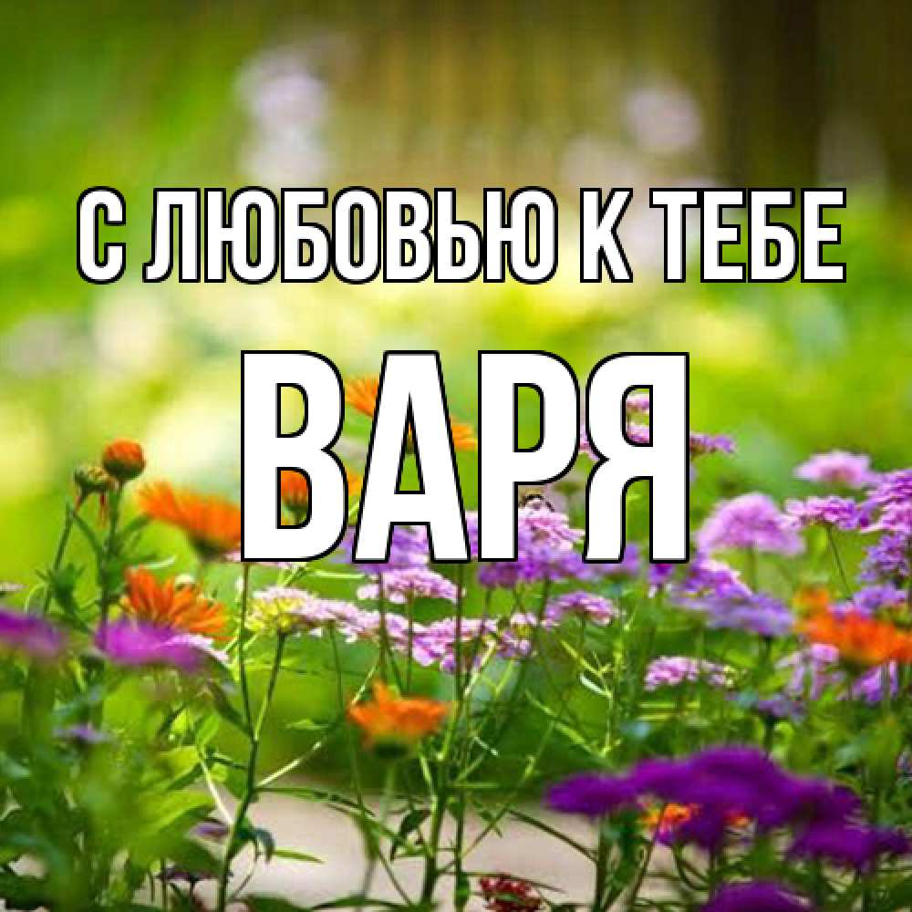 Открытка  с именем. варя, С любовью к тебе  