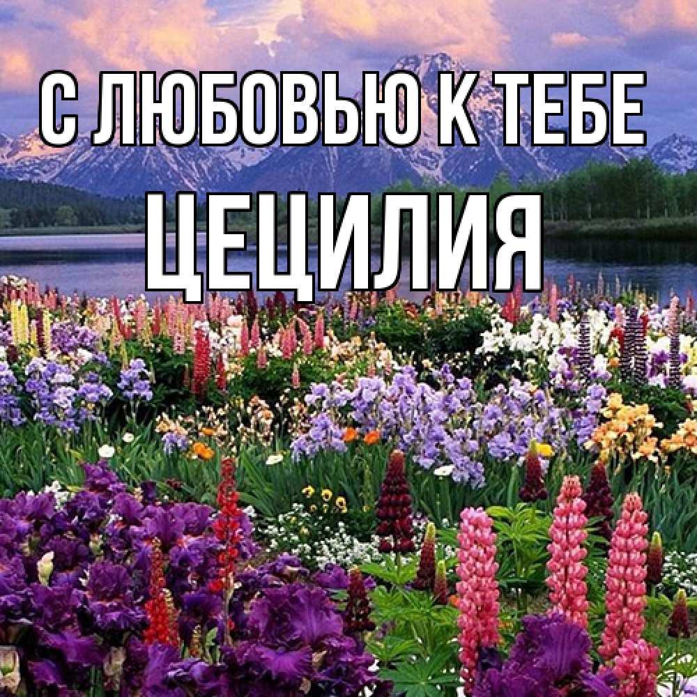 Открытка  с именем. Цецилия, С любовью к тебе  