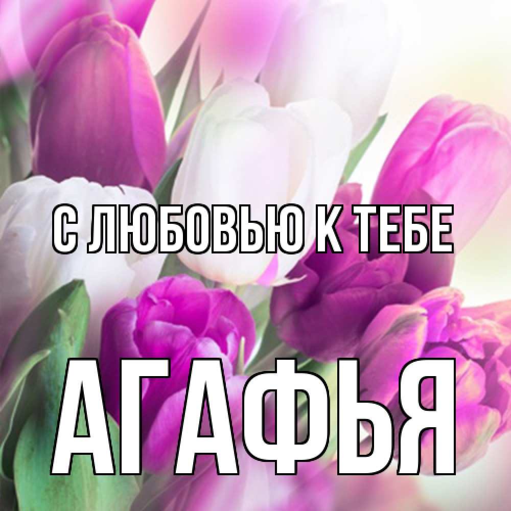 Открытка  с именем. Агафья, С любовью к тебе  