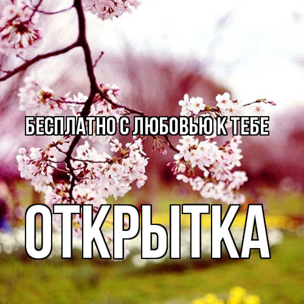 Открытка  с именем. открытка, С любовью к тебе  