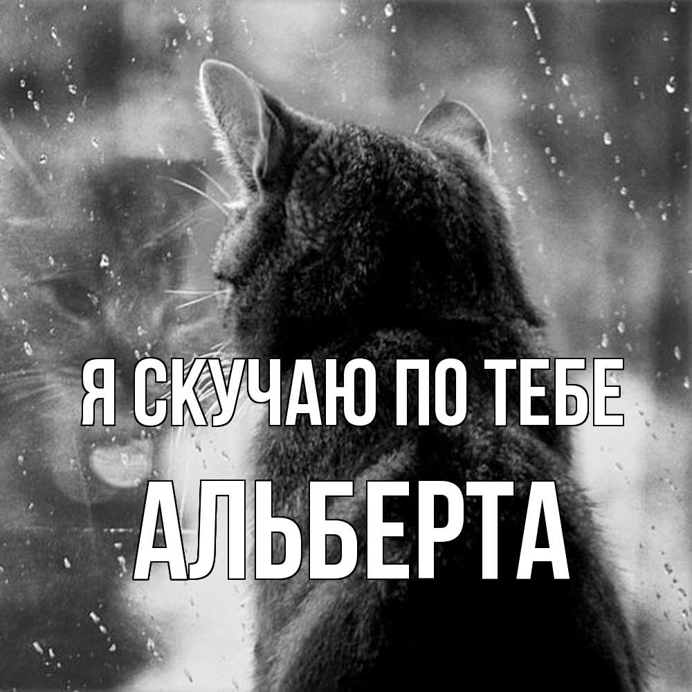 Открытка  с именем. Альберта, Я скучаю по тебе  