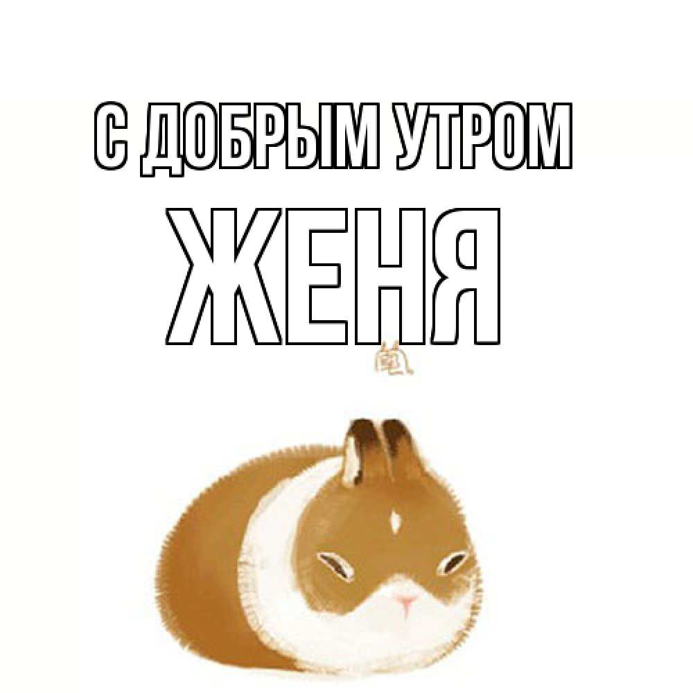 Открытка  с именем. Женя, С добрым утром  