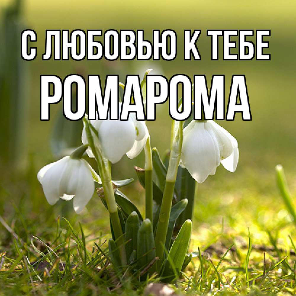 Открытка  с именем. РомаРома, С любовью к тебе  