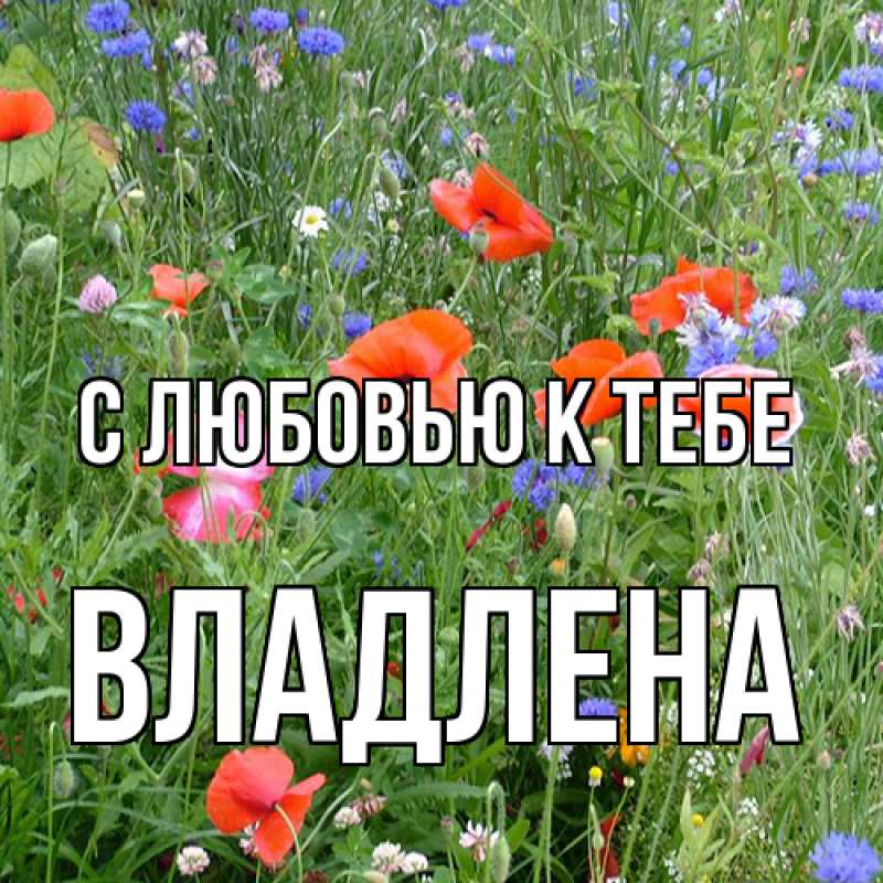 Картинка С любовью к тебе, Владлена