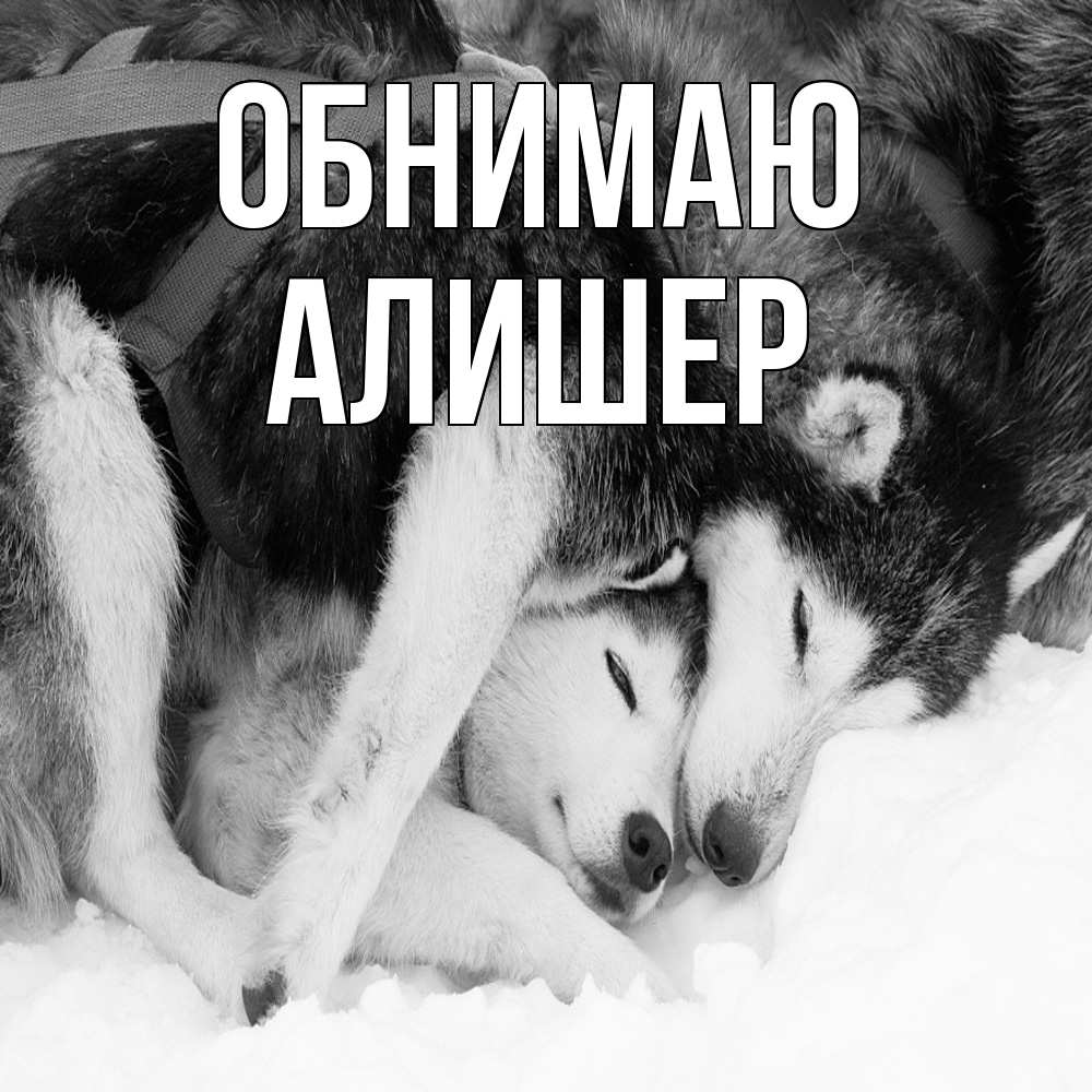 Открытка  с именем. Алишер, Обнимаю  