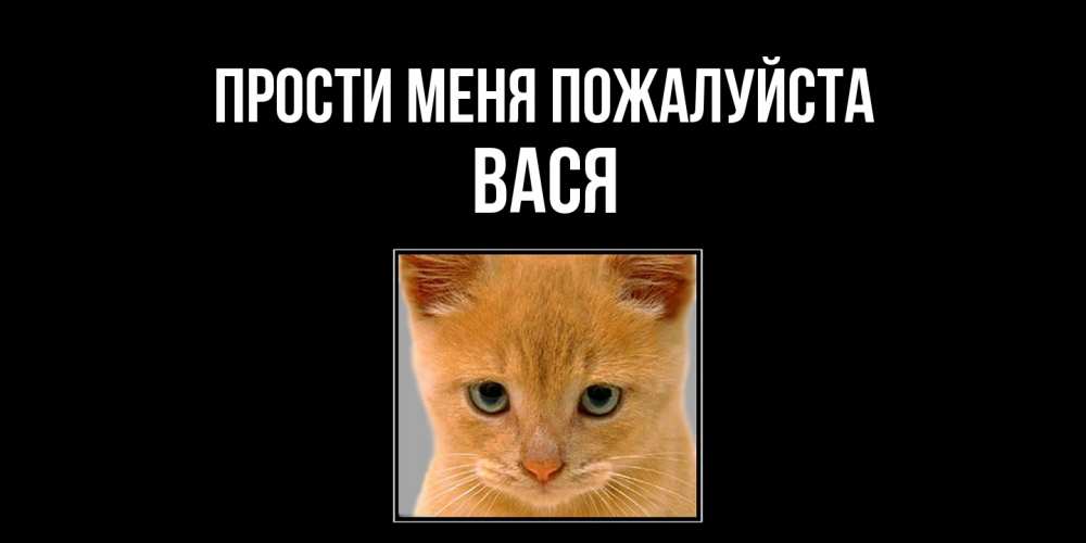 Открытка  с именем. Вася, Прости меня пожалуйста  