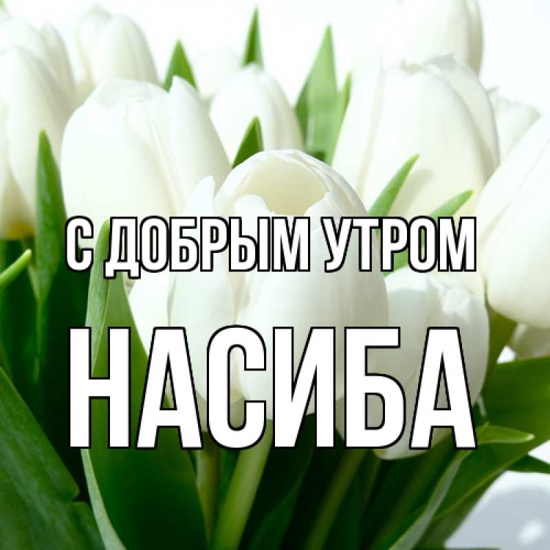 Картинка С добрым утром, Насиба
