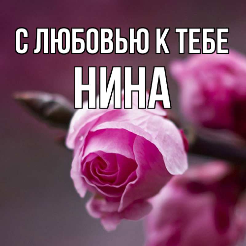 Картинка С любовью к тебе, Нина