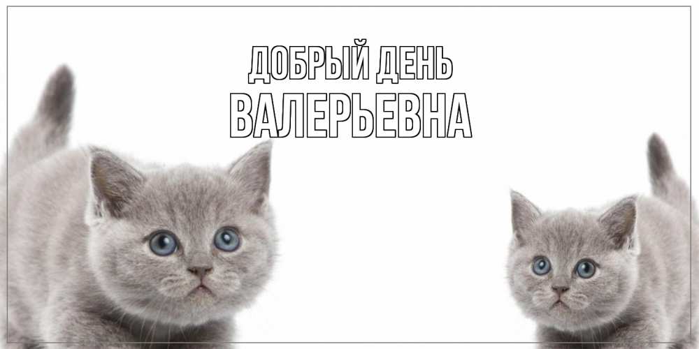 Открытка  с именем. Валерьевна, Добрый день  