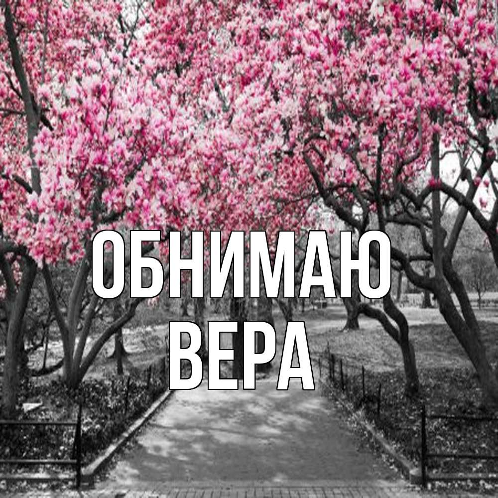 Открытка  с именем. Вера, Обнимаю  